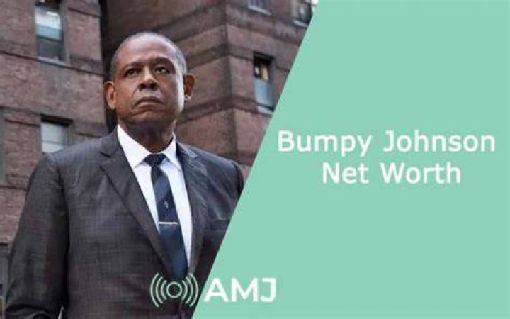 Bumpy Johnson Net Worth Before He Died