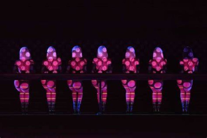 Crazy Horse Show Paris with Dinner Hotel Pick up & Return