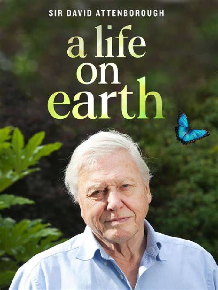 David Attenborough A Life On Our Wallpapers Wallpaper Cave