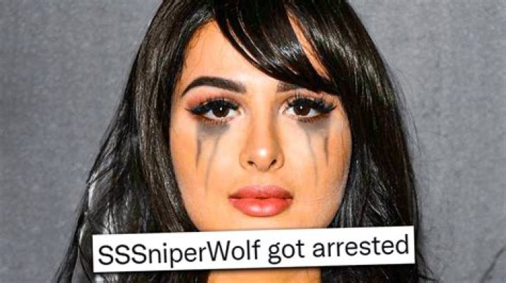 Did SSSniperWolf Go Under the Knife? Body Measurements and More