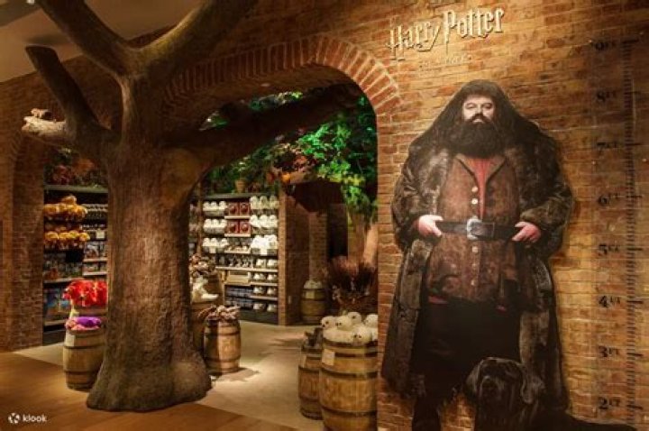 Discover The Magic Of Harry Potter Shops In New York City