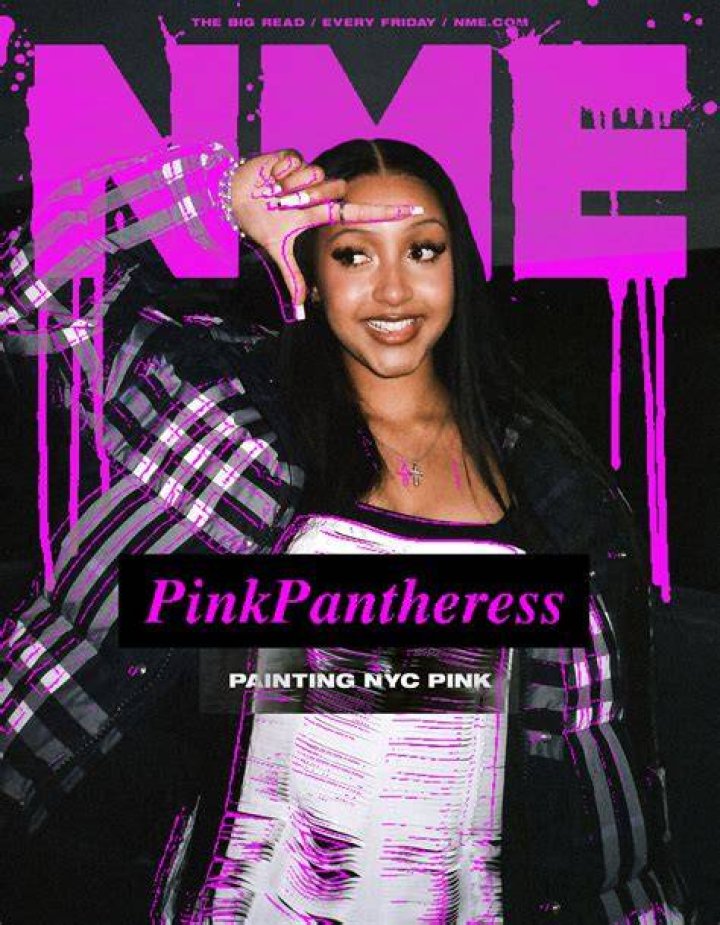 PinkPantheress Pinkpantheress Wiki Fandom