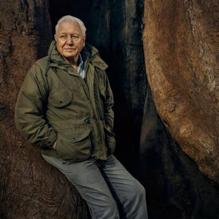 Unlocking The Net Worth And Legacy Of David Attenborough: Discoveries And Insights