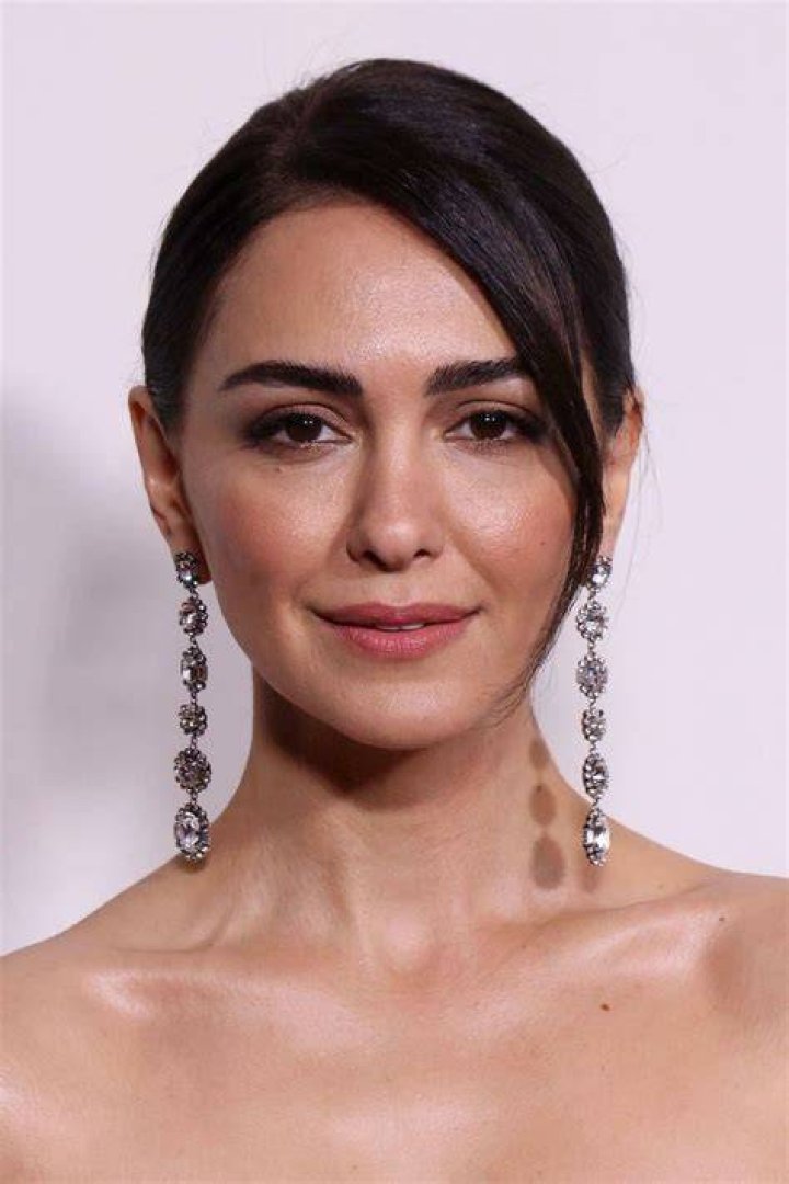 Unveiling The Multifaceted World Of Nazanin Boniadi