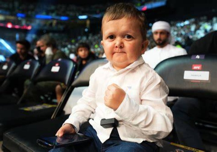 Who is Hasbulla? Age, net worth, rivalries and latest fight news