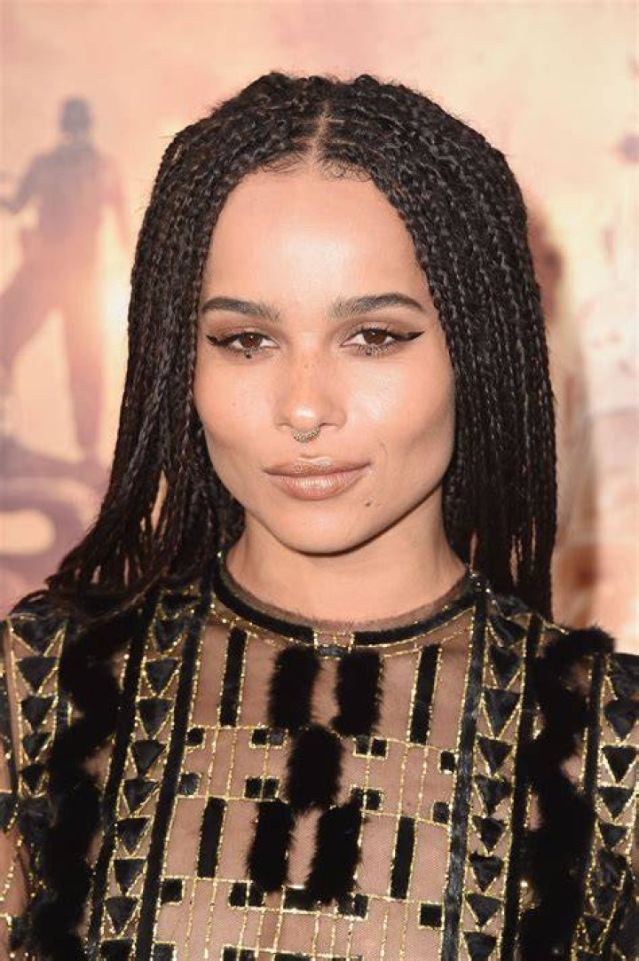 Zoe Kravitz Beauty Looks and Inspiration Zoe Kravitz Beauty Evolution